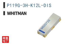 P119G-3H-K12L-DIS ͼƬ